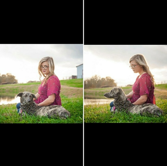 Meet your Posher, Lucy - Picture 1 of 1